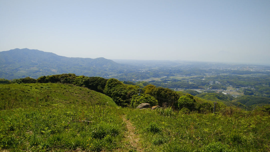 登山におけるエネルギーマネジメントの最適解。シェアも可能な「50g」のテトラポット型グラノーラ