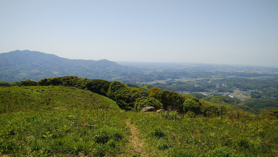 山へ連れていく相棒