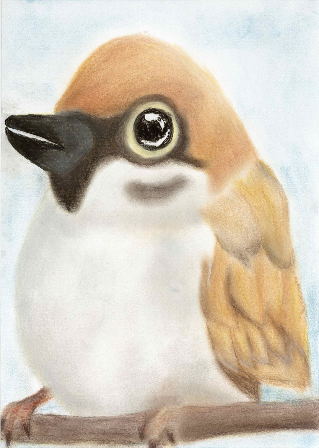 雀