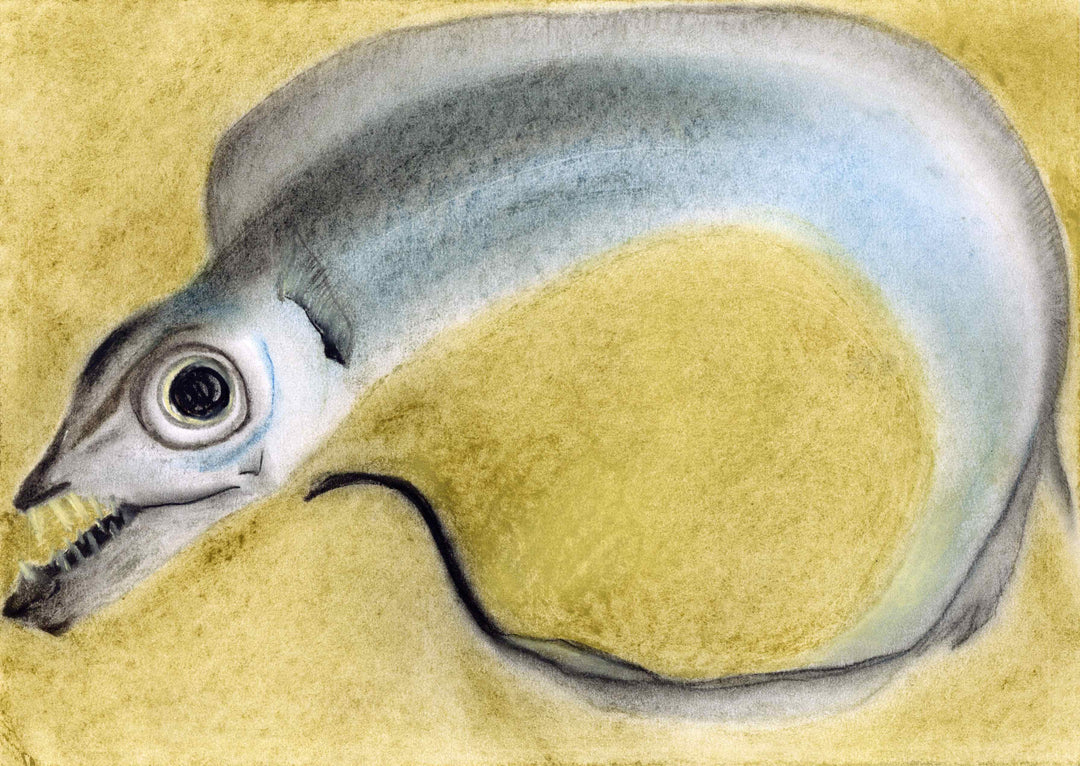 太刀魚