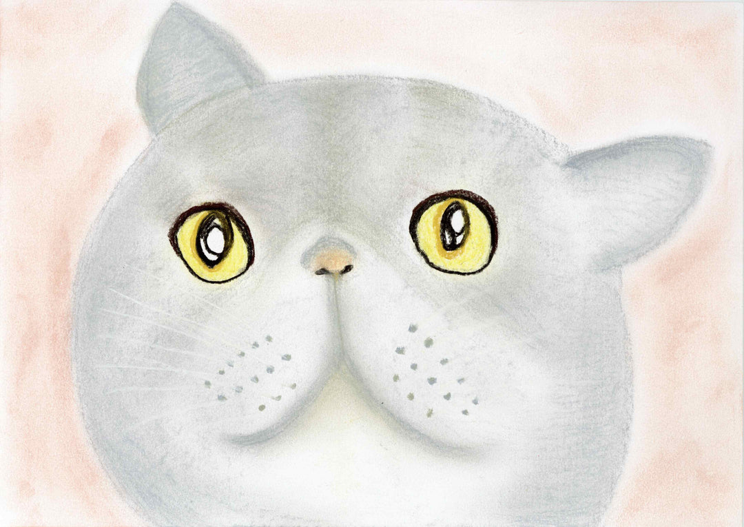 猫ちゃん