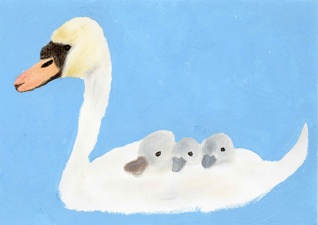 白鳥親子