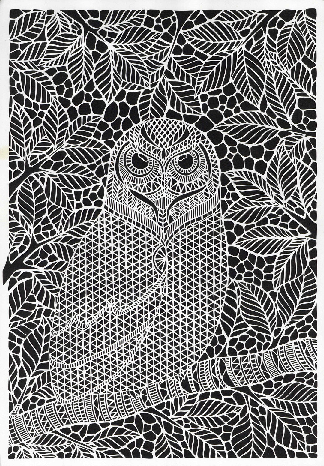 フクロウA